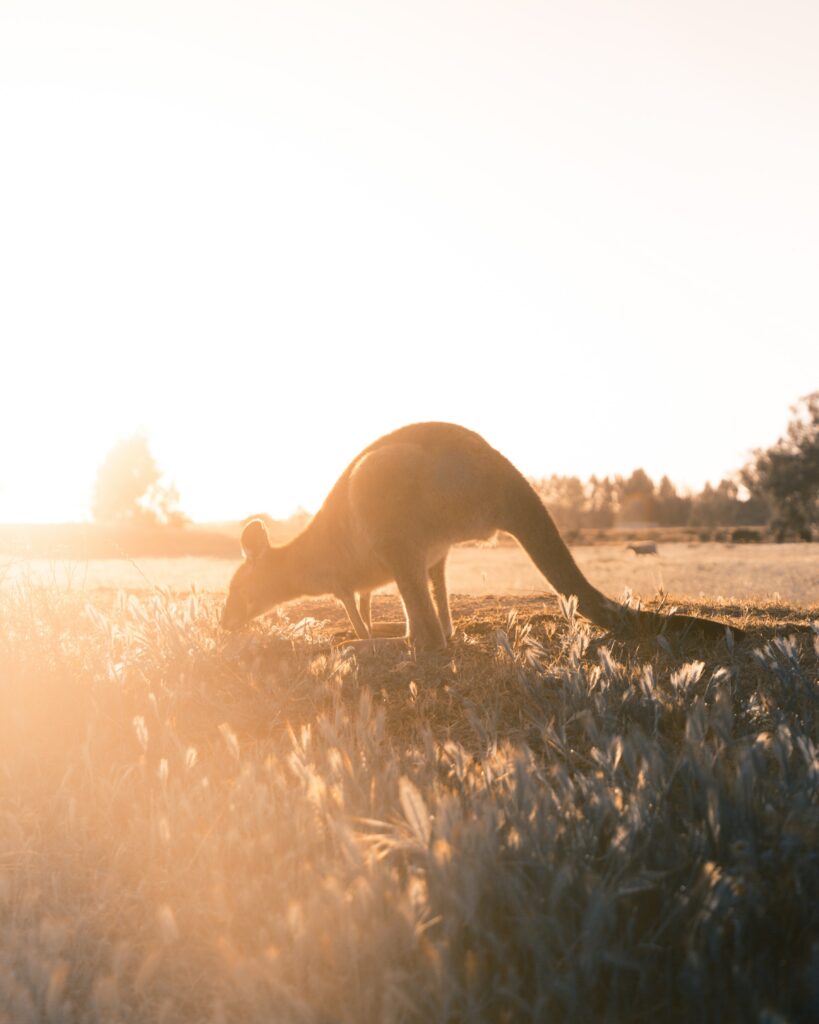christopher-burns-31s22xbZXQU-unsplash