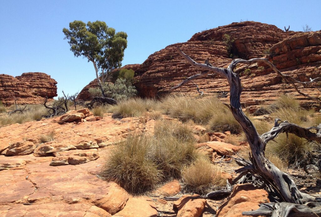 outback-405656_1920